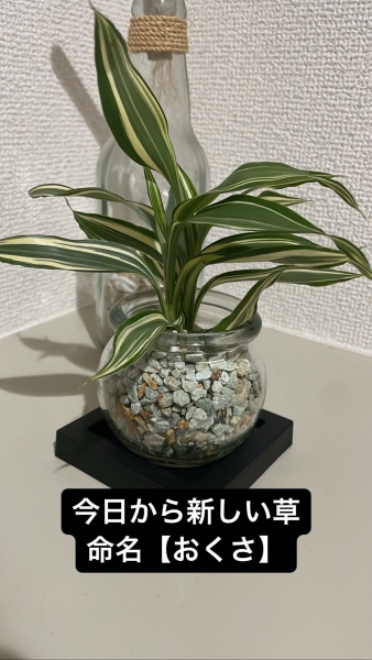 68F79F6B 2CCE 4E16 99F1 61F58B15E05E